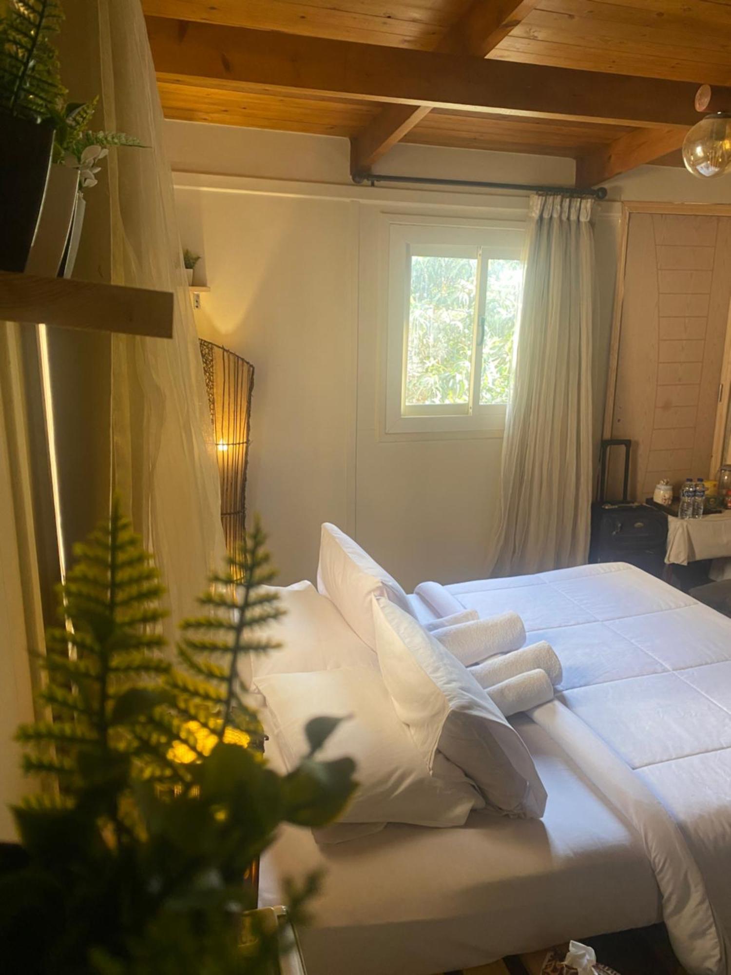 Airport Rooftop Club Luxurious Rooms And Studios Каир Экстерьер фото